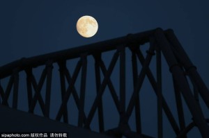 泰勒·莫顿：从红军小将到法甲新星的心路历程，英超冠军的光辉与沮丧交织