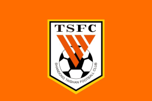 利好！山东泰山新外援近期将公布，据说来自欧冠球队