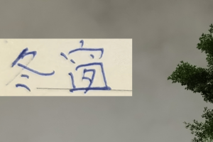 今年中超算是回光！ 居然有德甲+意甲球员加盟联赛