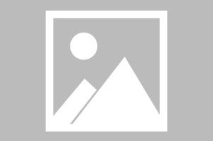 莫里斯兄弟签约新经纪人 均想争取下赛季打球机会 莫里斯兄弟签约新经纪人 均想争取下赛季打球机会